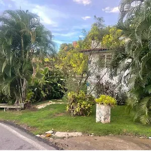 Jungle Bungalow Studio In Rincon