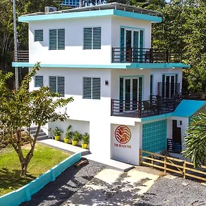The Pad Puntas Rincon