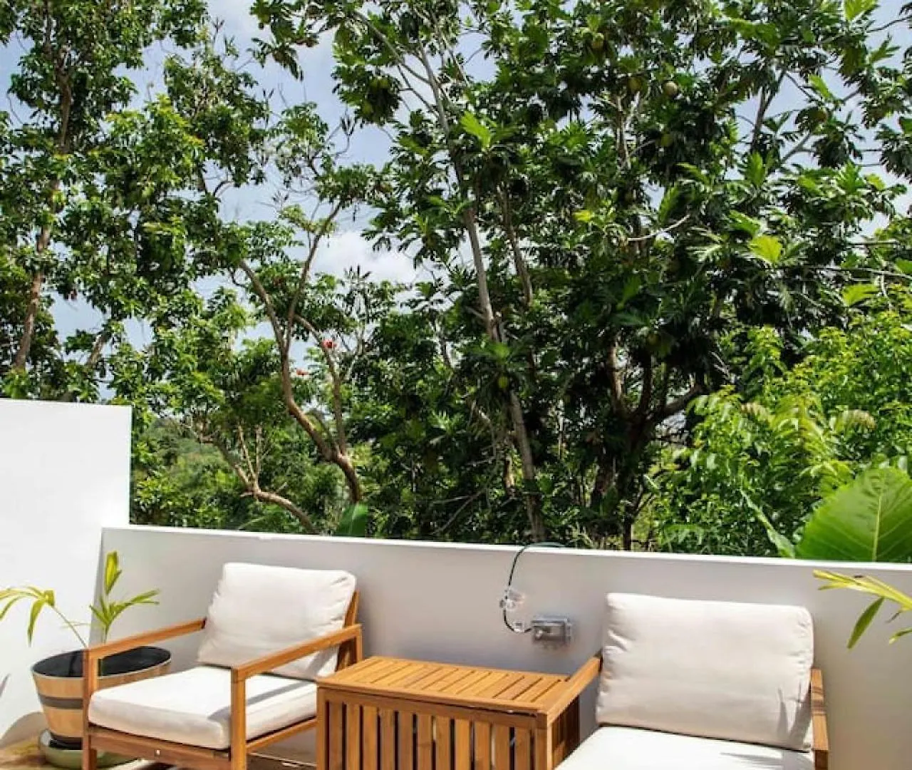 Casa Rosado At Rincon Surfer Suite Valley View Pool Puerto Rico